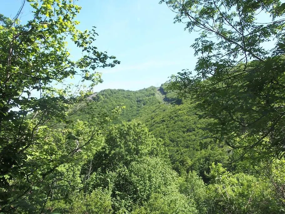 ラグジュアリーテント Tente Tipi En Pleine Foret Burzet フランス
